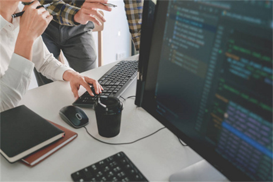 software development